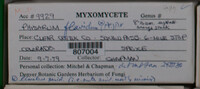 Image Associated With the Occurence